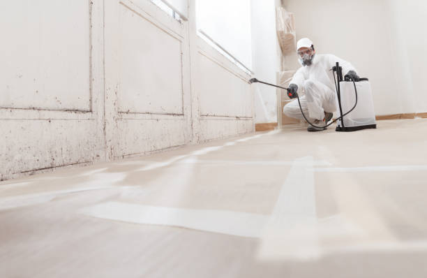 24/7 Emergency Mold Inspection experts in Warrenville, IL