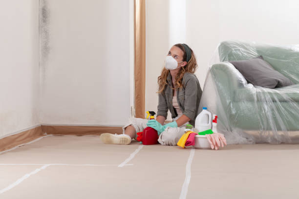 Trusted Mold Inspection service in Warrenville, IL - WQB Mold Removal