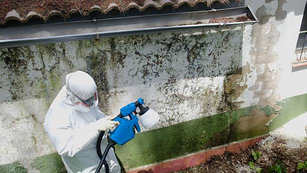 Top rated local Mold Inspection specialists in Warrenville, IL